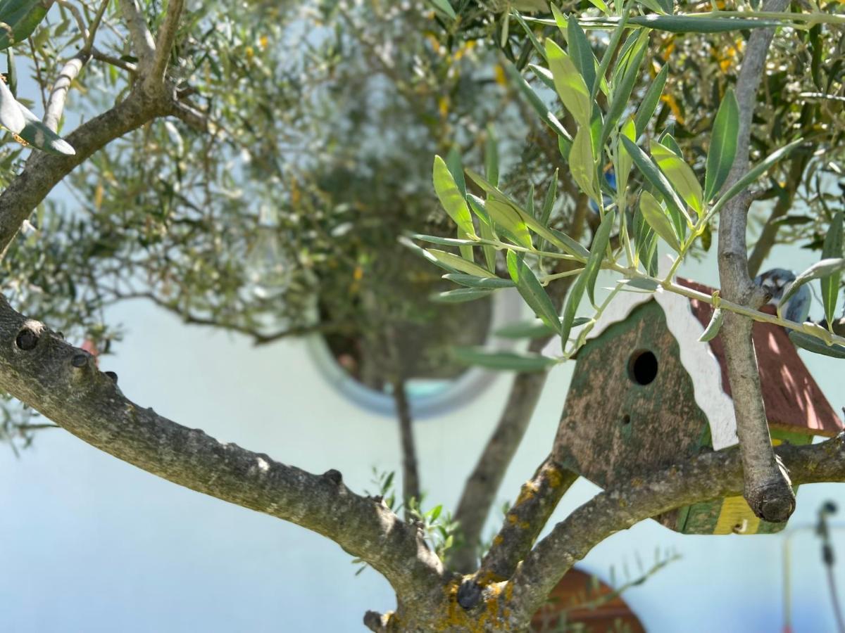 L'Oliveraie Robion en Luberon المظهر الخارجي الصورة